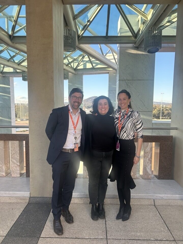 0ed39e87 fc6d 4313 b065 7fba7484141c