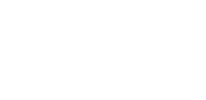 Lion white 100